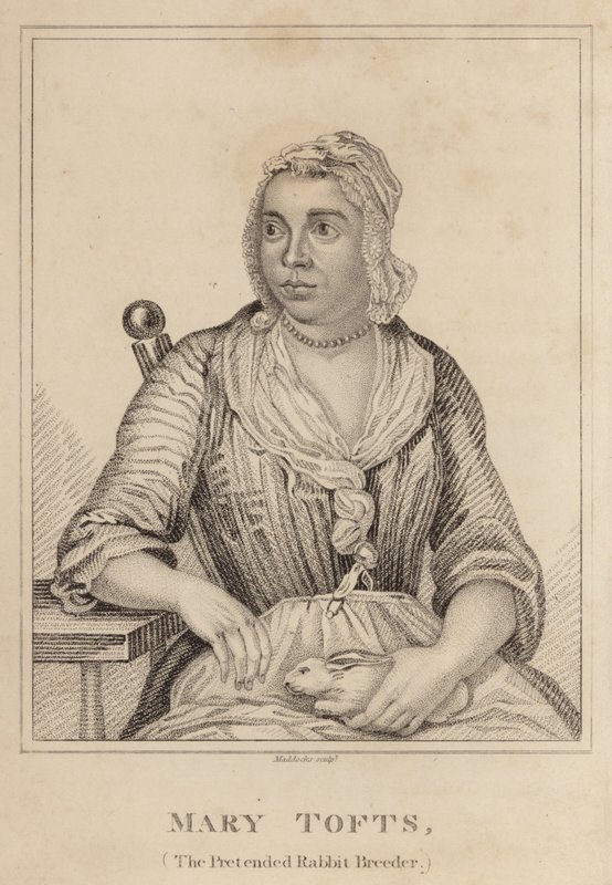 Mary Tofts, Sahte Tavşan Yetiştiricisi by English School