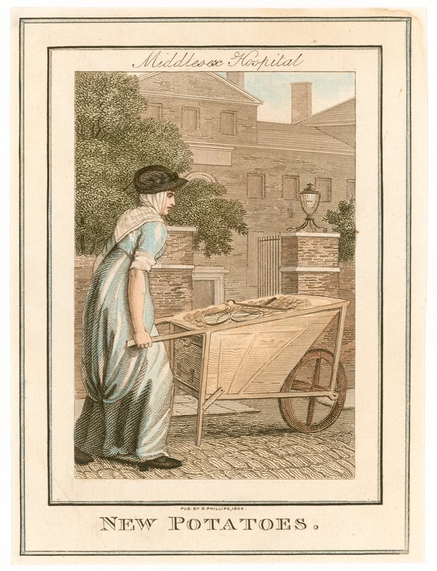 Middlesex Hastanesi. Yeni patatesler by English School