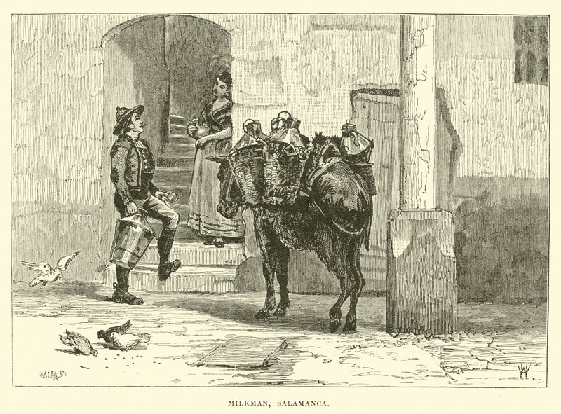 Sütçü, Salamanca by English School