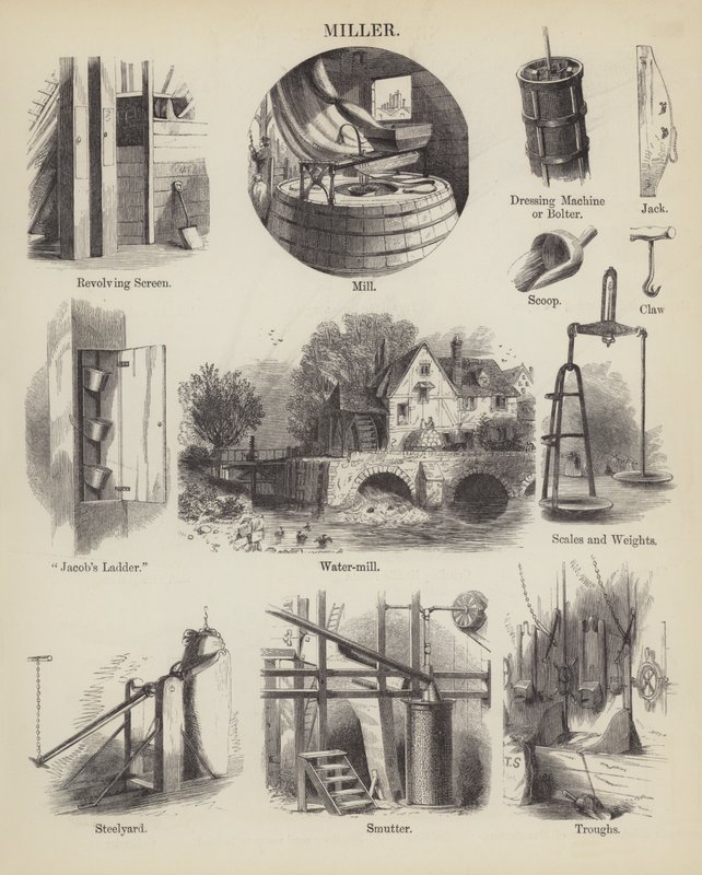 Miller (gravür) by English School