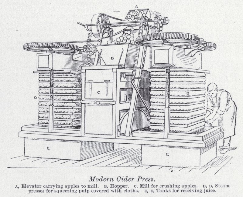 Modern elma şarabı presi (lito) by English School