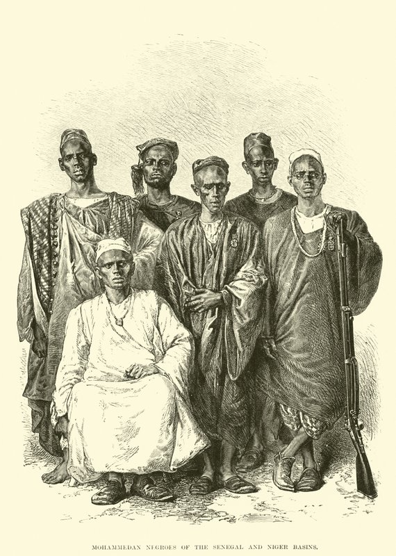 Senegal ve Nijer Havzalarının Müslüman Zencileri (gravür) by English School
