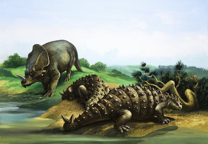 Monoklonius ve Scolosaurus by English School