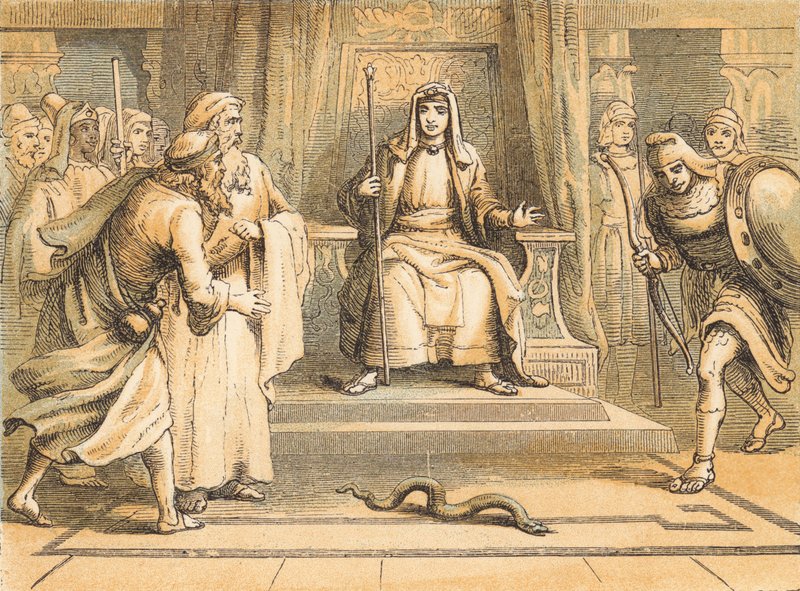 Firavun'dan önce Musa ve Harun (renkli gravür) by English School