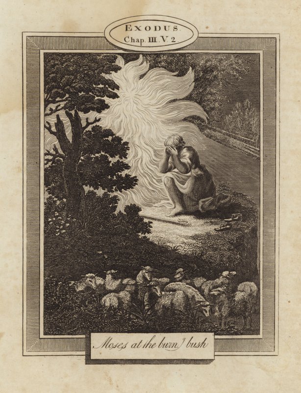 yanan çalıda Musa by English School