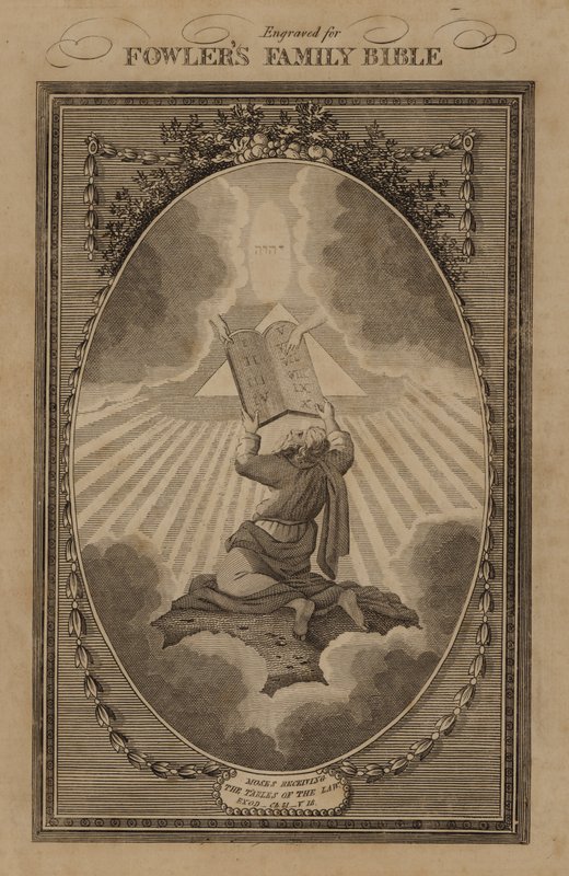 Musa