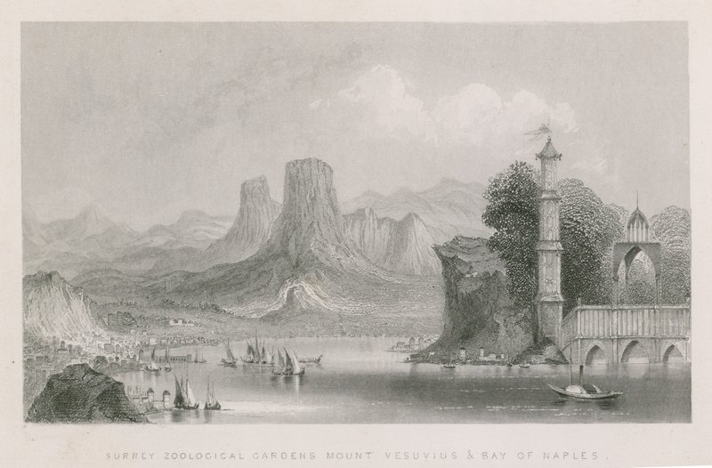 Vezüv Dağı ve Napoli Körfezi by English School