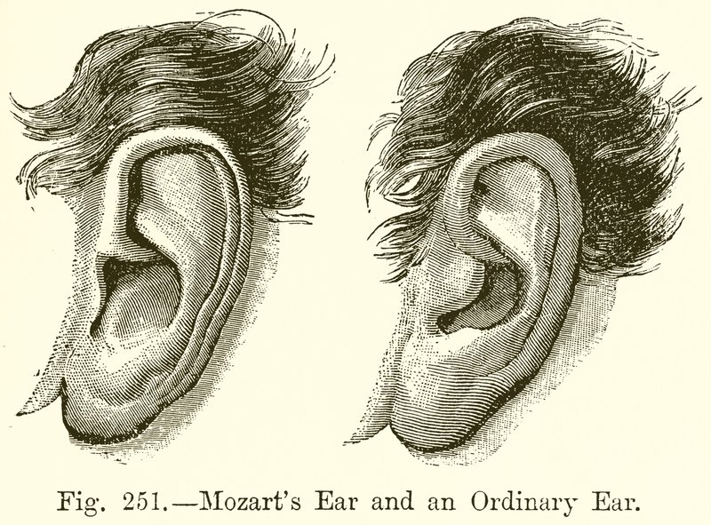 Mozart Kulağı ve Sıradan Bir Kulak by English School