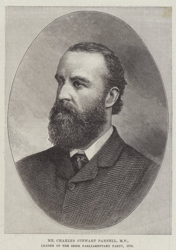 Bay Charles Stewart Parnell, Milletvekili, İrlanda Parlamento Partisi Lideri by English School