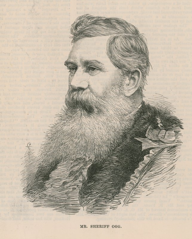 Bay Şerif Ogg by English School
