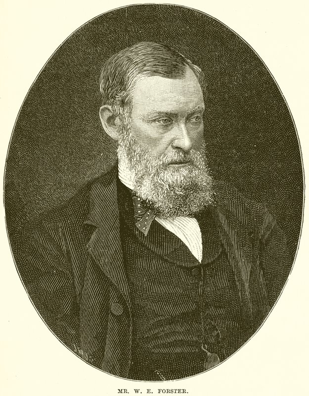 Bay W.E. Forster by English School