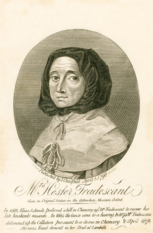 Bayan Hester Tradescant by English School