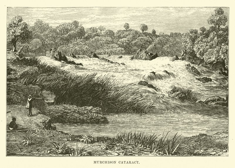 Murchison Katarakt by English School