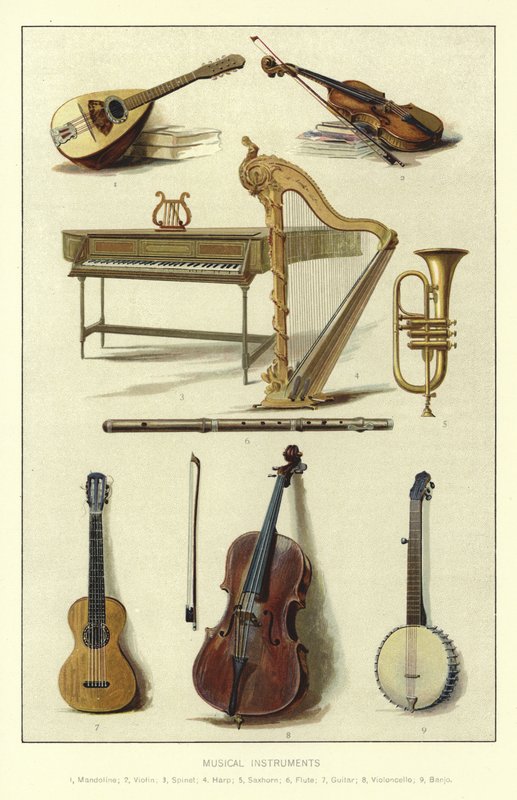 Müzik Enstrümanları by English School