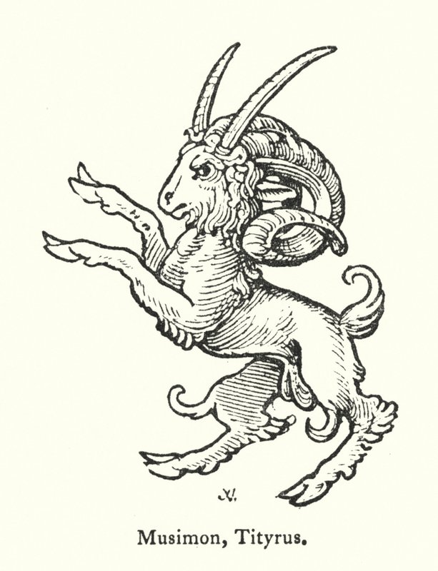 Musimon, Tityrus (gravür) by English School