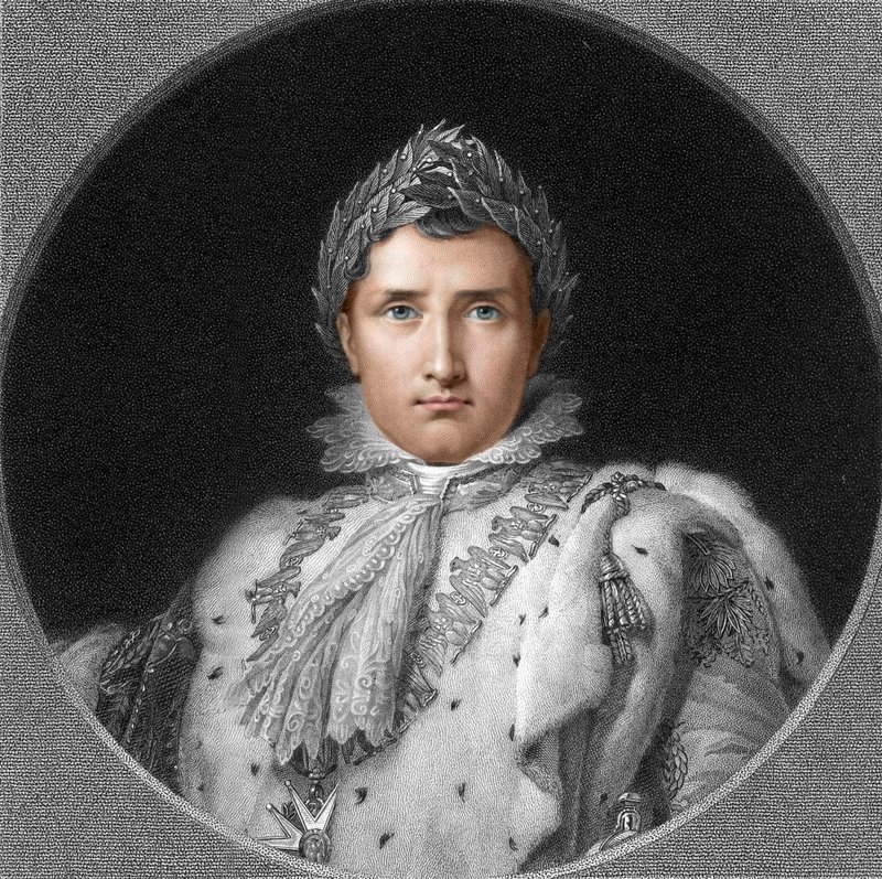 Napolyon by English School