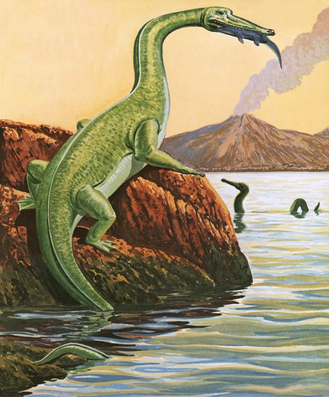Nathosaurus yemek yerken by English School