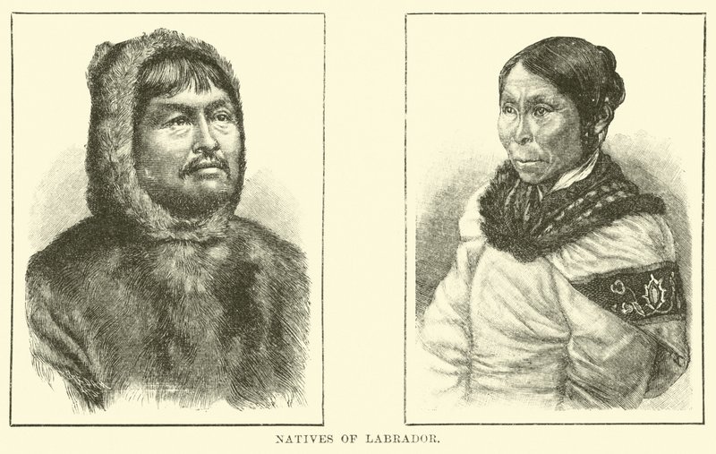 Labrador Yerlileri by English School