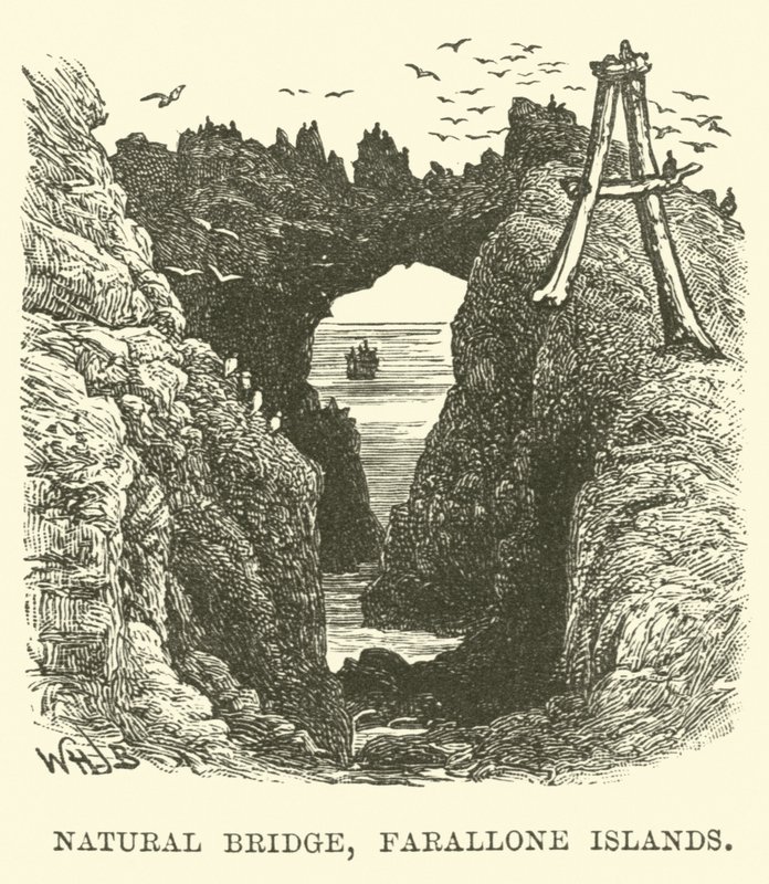 Doğal Köprü, Farallon Adaları by English School