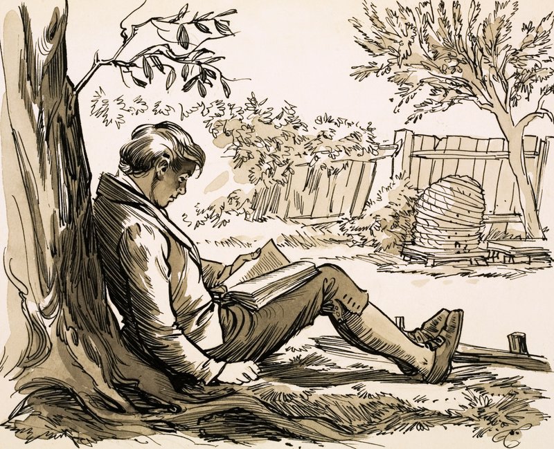 Doğa bilimci David Douglas, Robinson Crusoe