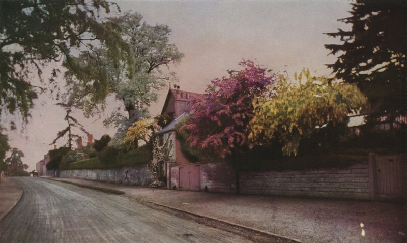 Fotoğrafın renkli olarak ortaya çıkardığı doğa güzelliği (renkli fotoğraf) by English School