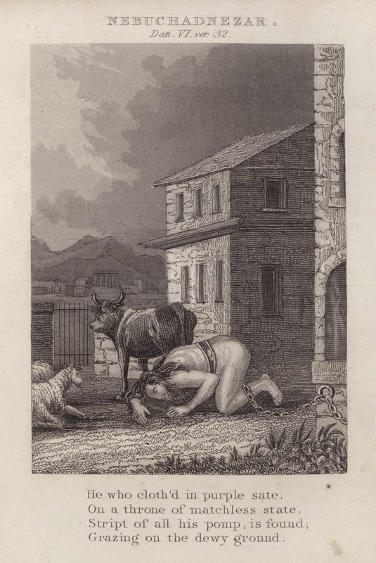 Nebukadnezar, Daniel VI, ver 32 (gravür) by English School