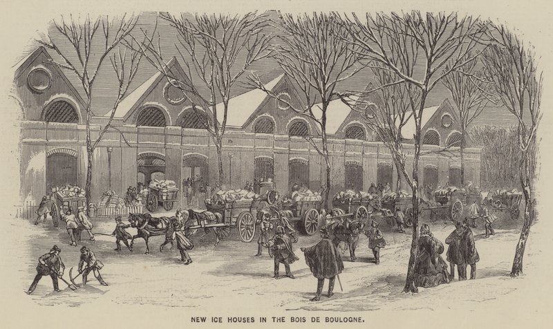 Bois de Boulogne
