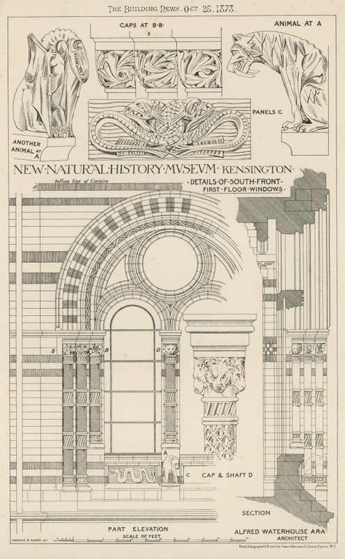 Yeni Doğa Tarihi Müzesi, South Kensington, Londra by English School