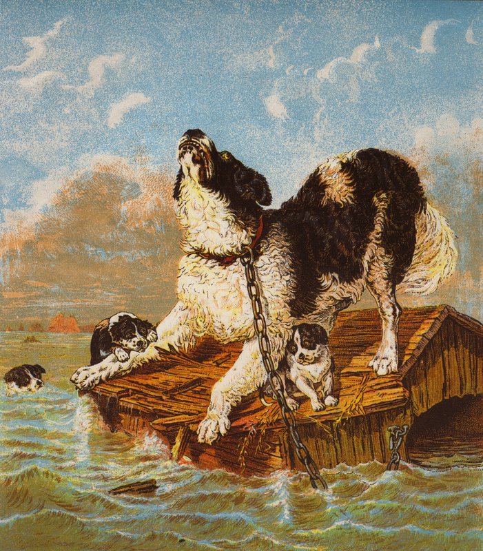 Newfoundland Köpeği ve Yavruları Tehlikede (renkli taş baskı) by English School