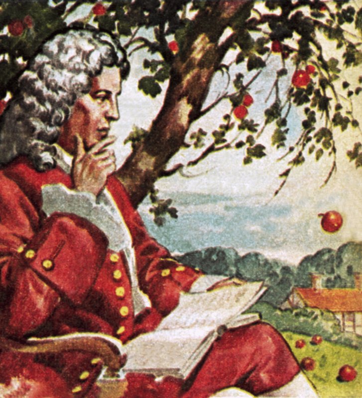 Newton elmaların düşüşünü izliyor by English School