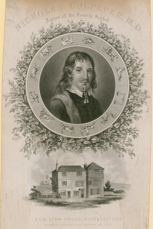 Nicholas Culpepper, Doktor by English School
