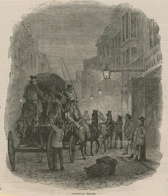 Norfolk Antrenörü by English School