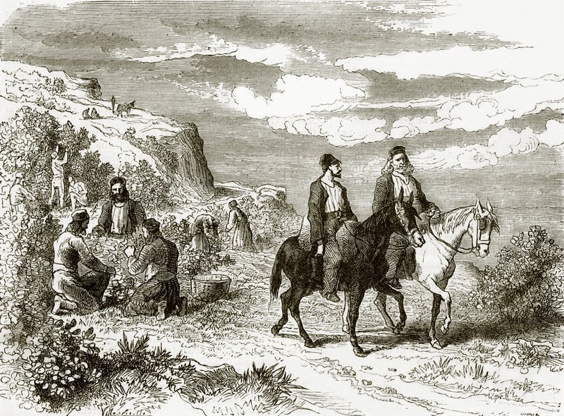 Athos Dağı