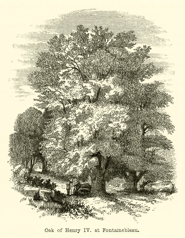 Fontainebleau
