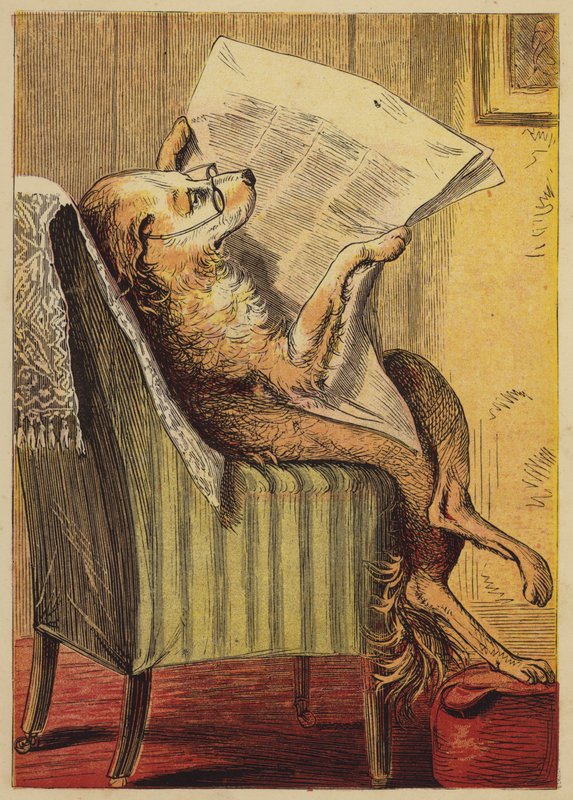 Yaşlı Anne Hubbard (renkli gravür) by English School