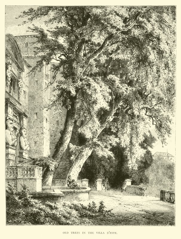 Villa dEste