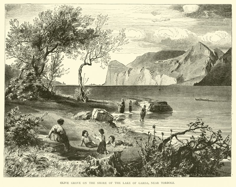 Torbole yakınlarındaki Garda Gölü kıyısındaki Zeytinlik by English School