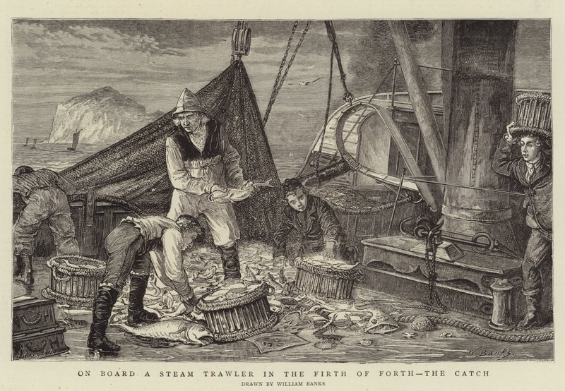 Firth of Forth, Catch