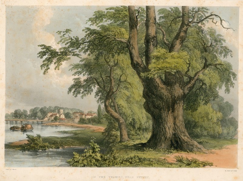 Thames Nehri üzerinde, Putney, Londra yakınlarında by English School