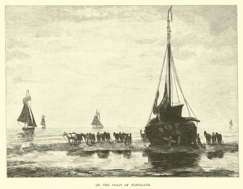 Friesland kıyısında by English School
