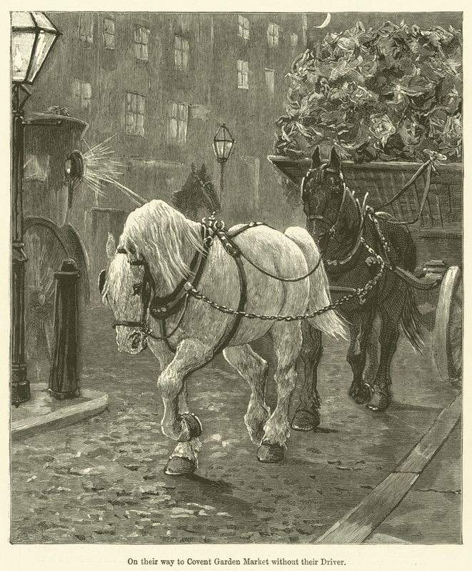 Şoförleri olmadan Covent Garden Pazarı