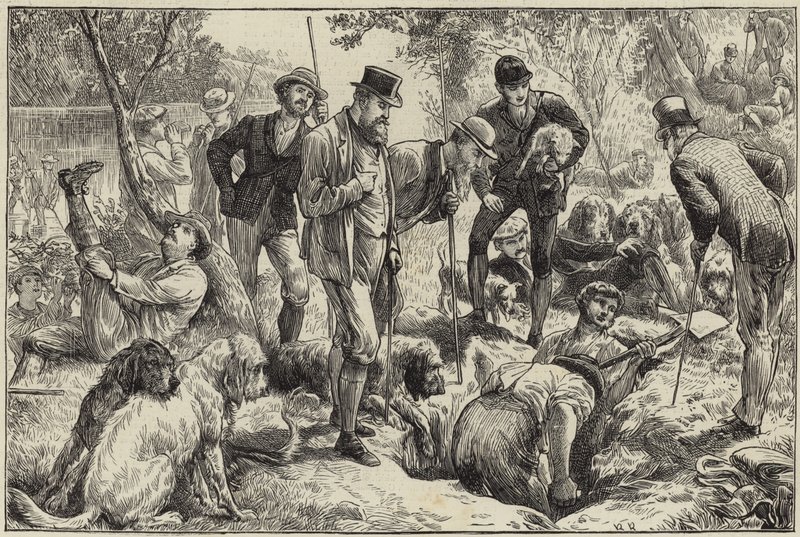 Kuzeyde su samuru avı by English School