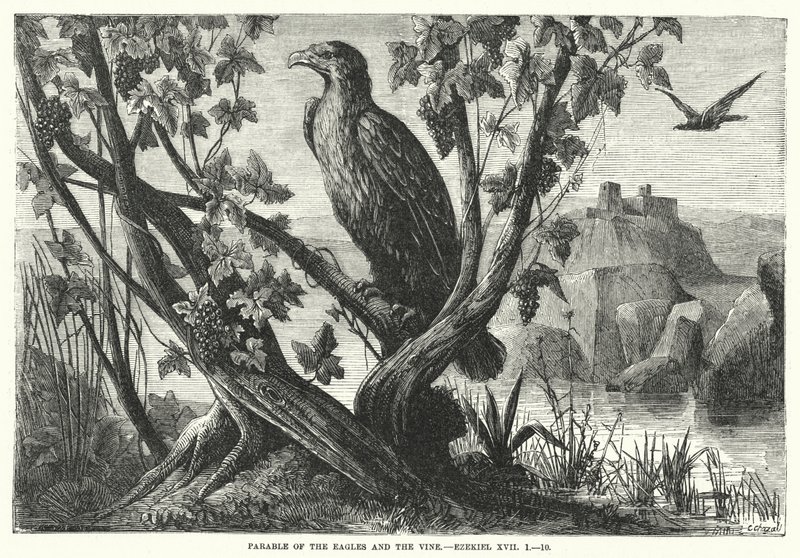 Kartallar ve Asma Meseli, Ezekiel XVII by English School