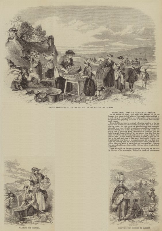Penclawdd ve Cockle Toplayıcıları (gravür) by English School
