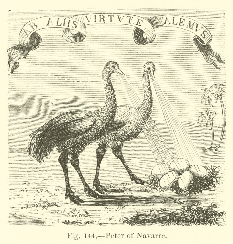 Navarre