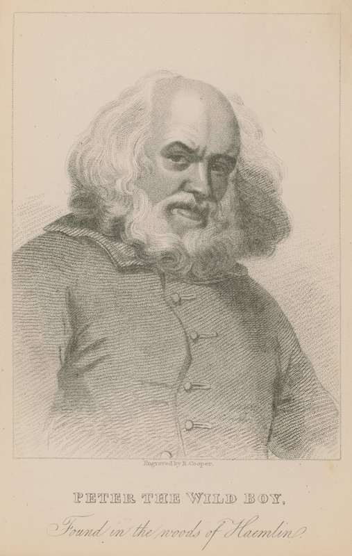 Hamelin ormanında bulunan Vahşi Çocuk Peter by English School