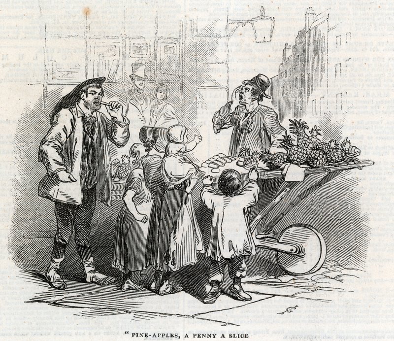Ananas, dilim başına bir kuruş by English School