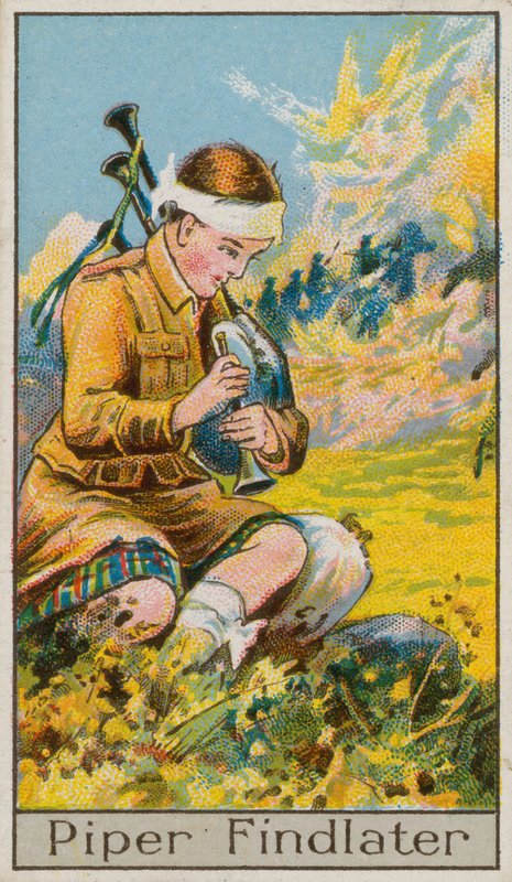 Piper Bulucu by English School