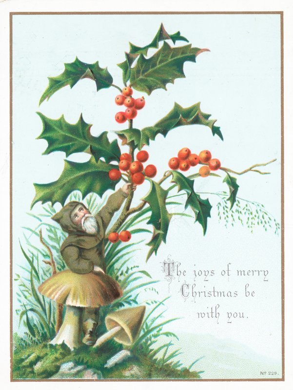 Pixie, Holly