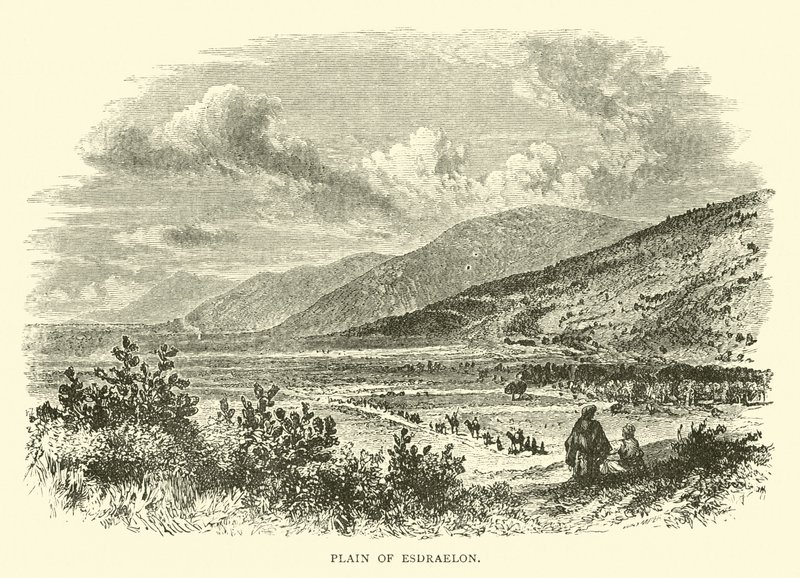 Esdraelon Ovası by English School